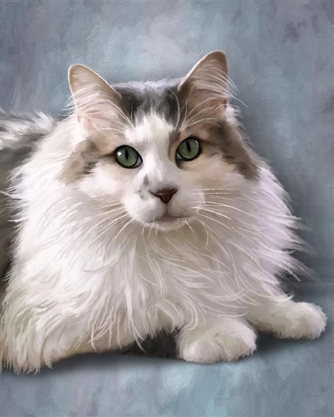 Oil Painting Giclee of A White and Gray Cat from Photo,by myDaVinci