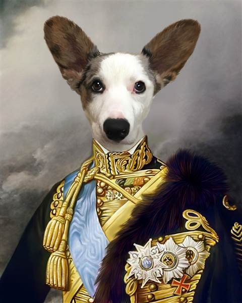 Custom Renaissance Pet Portrait as A King,by myDaVinci