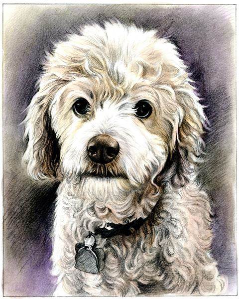 Hand Drawn Vintage DaVinci Sketch Portrait of A Dog