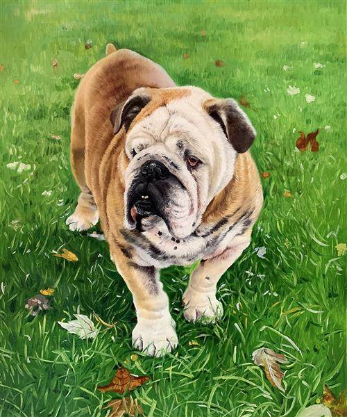 Hand Painted Dog Oil Portrait from Photo,by myDaVinci