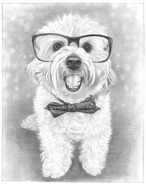 Hand Drawn Pencil Sketch Portrait of A Smiling Dog with Glasses and a Knot