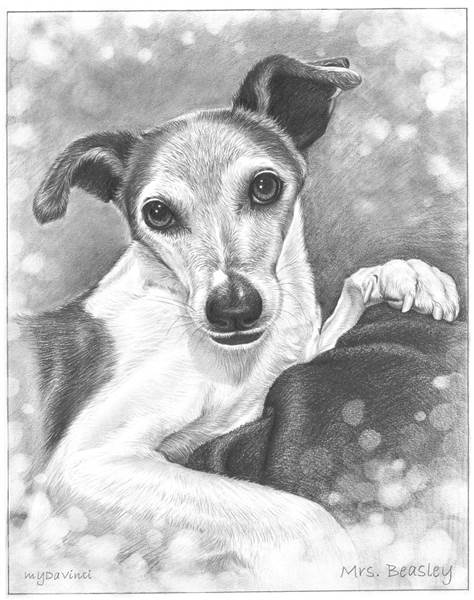 Hand Drawn Pencil Sketch