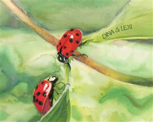 Ladybugs