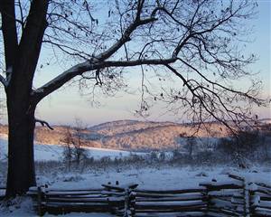 Print Photos On Canvas, Premium Photo Paper, or Fine Art Paper