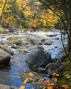 Print Photos On Canvas, Premium Photo Paper, or Fine Art Paper