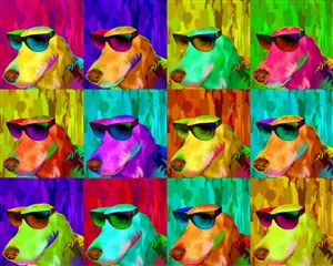 Pop Art 12 Panels from Photos