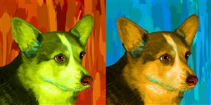 Pop Art 2-Panels from Photos