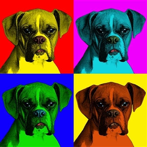 Pop Art 4 Panels Portrait from Photo