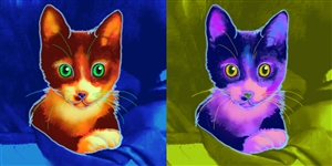 Pop Art 2-Panels from Photos