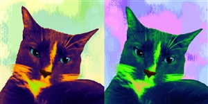 Pop Art 2-Panels from Photos