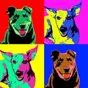 Pop Art 4 Panels Portrait from Photo