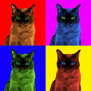 Pop Art 4 Panels Portrait from Photo