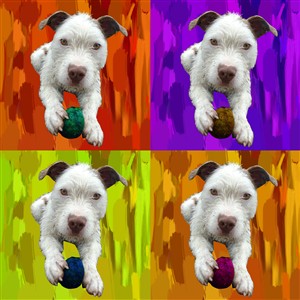 Pop Art 4 Panels Portrait from Photo