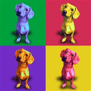 Pop Art 4 Panels Portrait from Photo