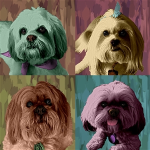 Pop Art 4 Panels Portrait from Photo