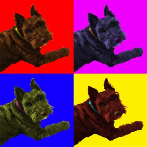 Pop Art 4 Panels Portrait from Photo