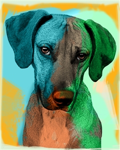 Expressive Pop Art from Photos