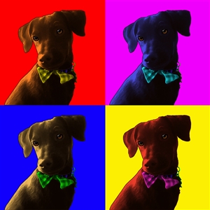 Pop Art 4 Panels Portrait from Photo