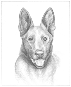 Hand Drawn Pencil Portraits from Photos | Pencil Portrait Drawing | Pencil Sketch Artists