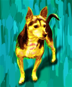 1 Panel Pop Art Portraits from Photos