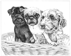 Hand Painted Ink Rendering from Photos