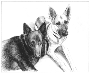 Hand Painted Ink Rendering from Photos