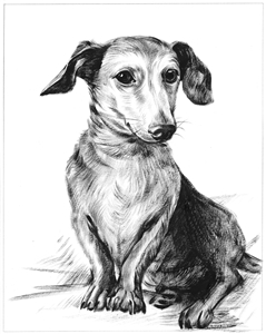 Hand Painted Ink Rendering from Photos