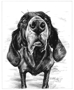 Hand Painted Ink Rendering from Photos