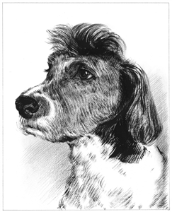 Hand Painted Ink Rendering from Photos