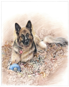 Color Pencil Sketch from Photo | Custom Color Pencil Portrait