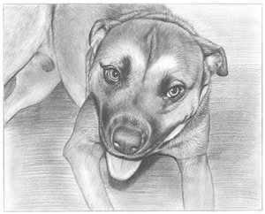 Hand Drawn Pencil Sketch from Photo | Pencil Portrait Drawing | Sketch Artists