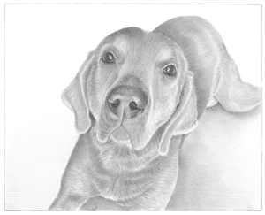 Hand Drawn Pencil Sketch from Photo | Pencil Portrait Drawing | Sketch Artists