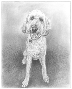 Hand Drawn Pencil Sketch from Photo | Pencil Portrait Drawing | Sketch Artists