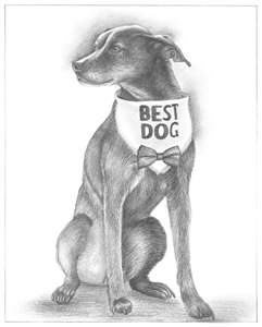 Hand Drawn Pencil Portraits from Photos | Pencil Portrait Drawing | Pencil Sketch Artists