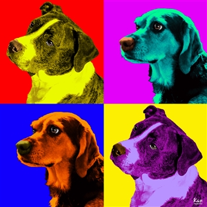 Pop Art 4 Panels Portrait from Photo