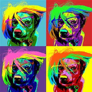 Pop Art 4 Panels Portrait from Photo