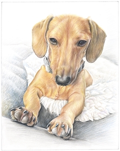 Hand Drawn Colored Pencil Portraits from Photos | Colored Pencil Drawings from Photos