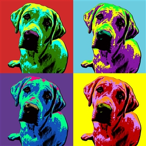 Pop Art 4 Panels Portrait from Photo