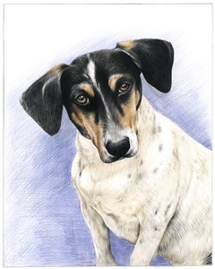 Hand Drawn Colored Pencil Portraits from Photos | Colored Pencil Drawings from Photos