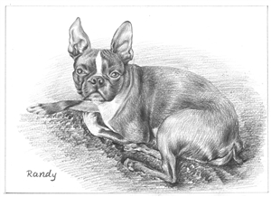 Hand Drawn Pencil Portraits from Photos | Pencil Portrait Drawing | Pencil Sketch Artists