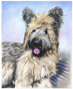 Hand Drawn Colored Pencil Portraits from Photos | Colored Pencil Drawings from Photos