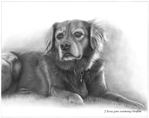 Hand Drawn Pencil Portraits from Photos | Pencil Portrait Drawing | Pencil Sketch Artists