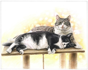 Hand Drawn Colored Pencil Portraits from Photos | Colored Pencil Drawings from Photos