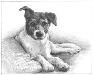 Hand Drawn Pencil Portraits from Photos | Pencil Portrait Drawing | Pencil Sketch Artists