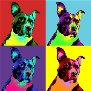 Pop Art 4 Panels Portrait from Photo