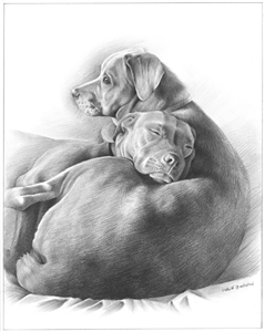 Hand Drawn Pencil Portraits from Photos | Pencil Portrait Drawing | Pencil Sketch Artists