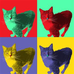 Pop Art 4 Panels Portrait from Photo