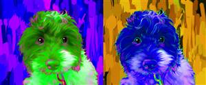 Pop Art 2-Panels from Photos