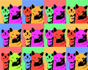 Pop Art 12 Panels from Photos