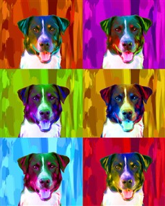 Pop Art 6 Panels from Photos